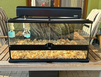Terárium Exo Terra 60x45x30cm vč. osvětlení EXO TERRA Compac - 2