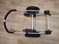 Bugaboo frog - 2