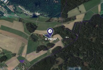 Prodej lesu v k.ú. Sázava u Žďáru nad Sázavou - 2