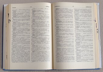 Česko - francouzský dvoudílný slovník - 2