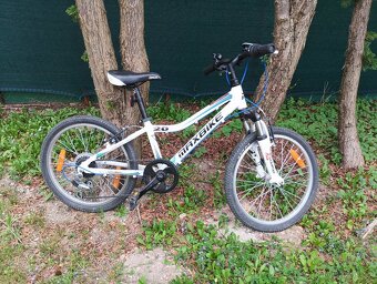 Maxbike 20 - 2