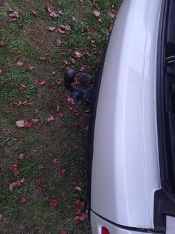 Mitsubishi Outlander - 2