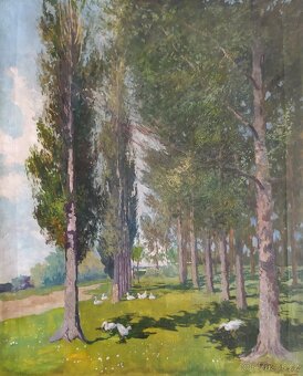 Petr Jaroš - Partie z Hradce - obraz - 2