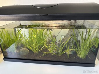 Akvárium cca 60L - 2