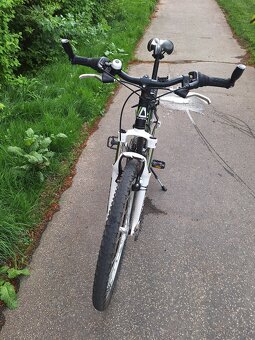 Kolo Alpina Eco 26 - 2