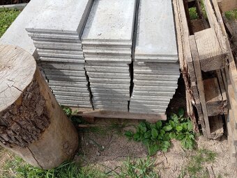 Obrubnik betonový Diton 50x1000x250 mm - 2