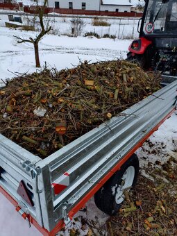 Štěpka ovocná - 2