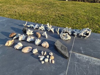 Dekorace do akvária - 2