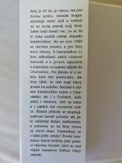 Já, Julie a dovolená (Dagmar Dandová) - 2