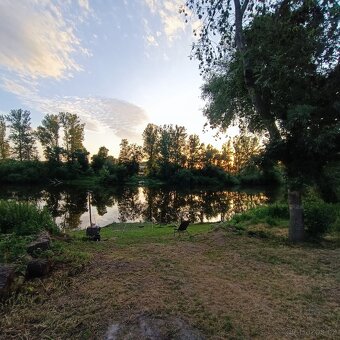 Zahrada u řeky Labe - 2