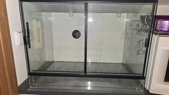 Terarium - 2