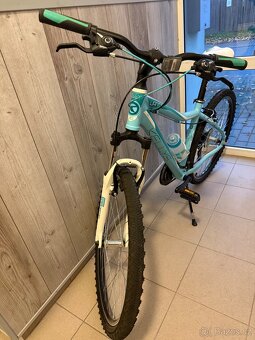 Kolo Kellys Vanity 20 - 2