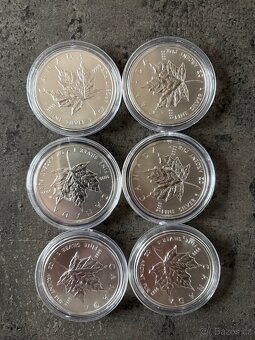 Stříbrné mince Maple Leaf 1 oz (2012) - 2