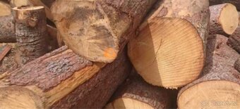 Palivové dřevo měkké - 2