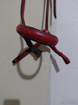 Červený nanosňík - 2