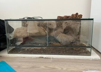 Terárium - 2