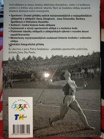 Zlaté hroty - Petr Feldstein - 2
