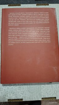 Blanka Matragi - kniha "Blanka" - 2