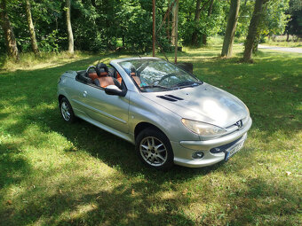 206cc 1,6 80kw - 2