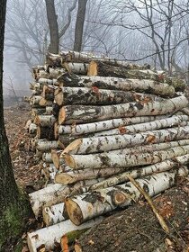 Palivové dřevo do vyprodání zásob - 2