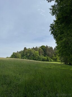 Prodám pozemky v katastrálním území Český Dub - louky - 2