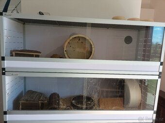 Ježek bělobřichy - 2