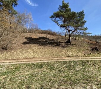 Boskovice RD na klic s pozemkem 400m2 ul. Manesova - 2