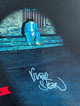 Viktor Sheen LP vinyl - 2