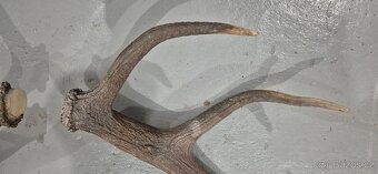 Parohy - 2