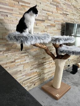 Škrabadlo pro kočky - 2