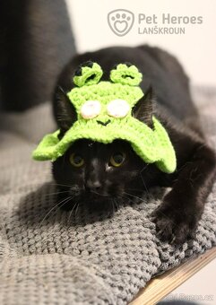 Bubli ❤ tulivá kočičí kráska ❤ - 2