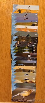 Animal kingdom - kartičky - 2