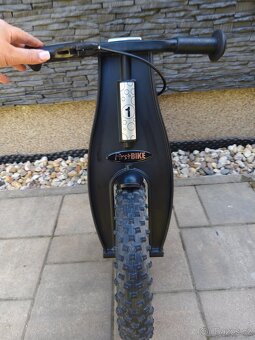 First BIKE Fat Edition - 2