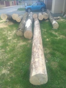 dřevo celé dřevěné kmeny - 2
