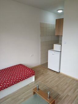 Pronájem bytu 1+kk 25 m2 Dobrotice - 2