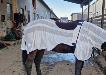 Jezdecká deka/síťovka Horseware Amigo Flyrider chalk/navy - 2