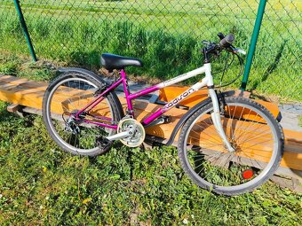 Kolo Madison 24" - 2