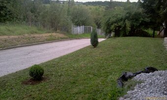 Pronajmu byt 1+1 50m2 v Ostravě se zahradou - 2