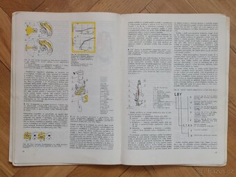 Elektrotechnika motorových vozidel - 2