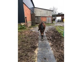 Stájové rohože, do boxů pro koně - sleva 7% - 2