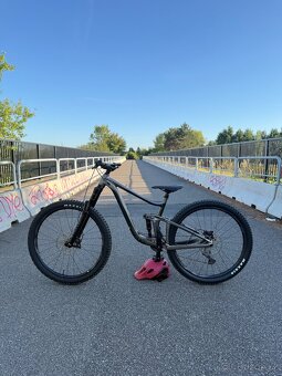 Giant reign - 2