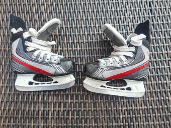 Bauer - 2