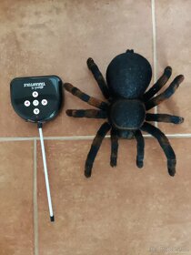 Prodám děsivou tarantuli - 2