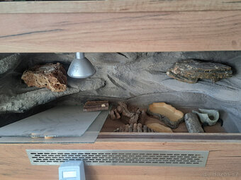 Terarium pro Agamu - 2