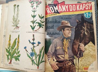 10 x Rodokaps. 1. - 2