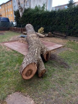 Prodej ořechového dřeva - 2