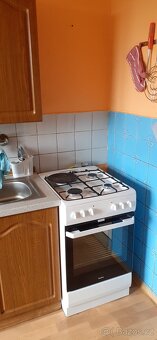 Pokoj v prizemi bezbarierovy, vhodny pro pohyblive Duchodce - 2