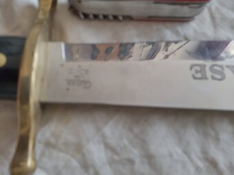 Bowie Case - 2