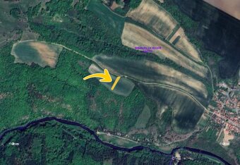 Prodej podílu 1/4 pole 227 m², Biskoupky - 2