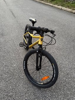 Rascal 20 zlaté - 2